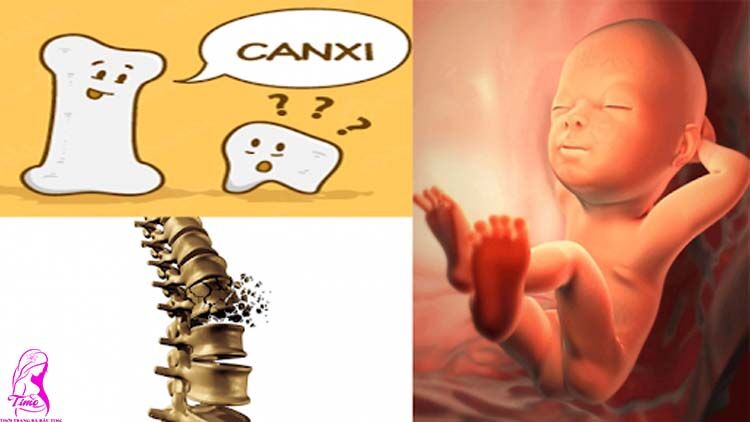 3 tháng đầu ăn gì để vào con 3 tháng đầu ăn gì để vào con