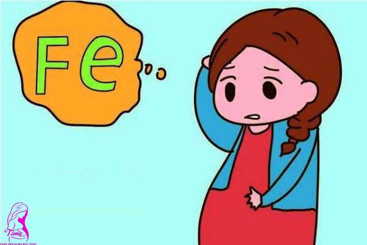 3 tháng đầu ăn gì để vào con 3 tháng đầu ăn gì để vào con